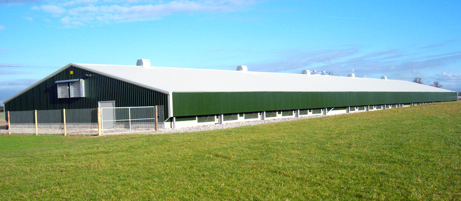 Vista exterior de una granja de broiler moderna.