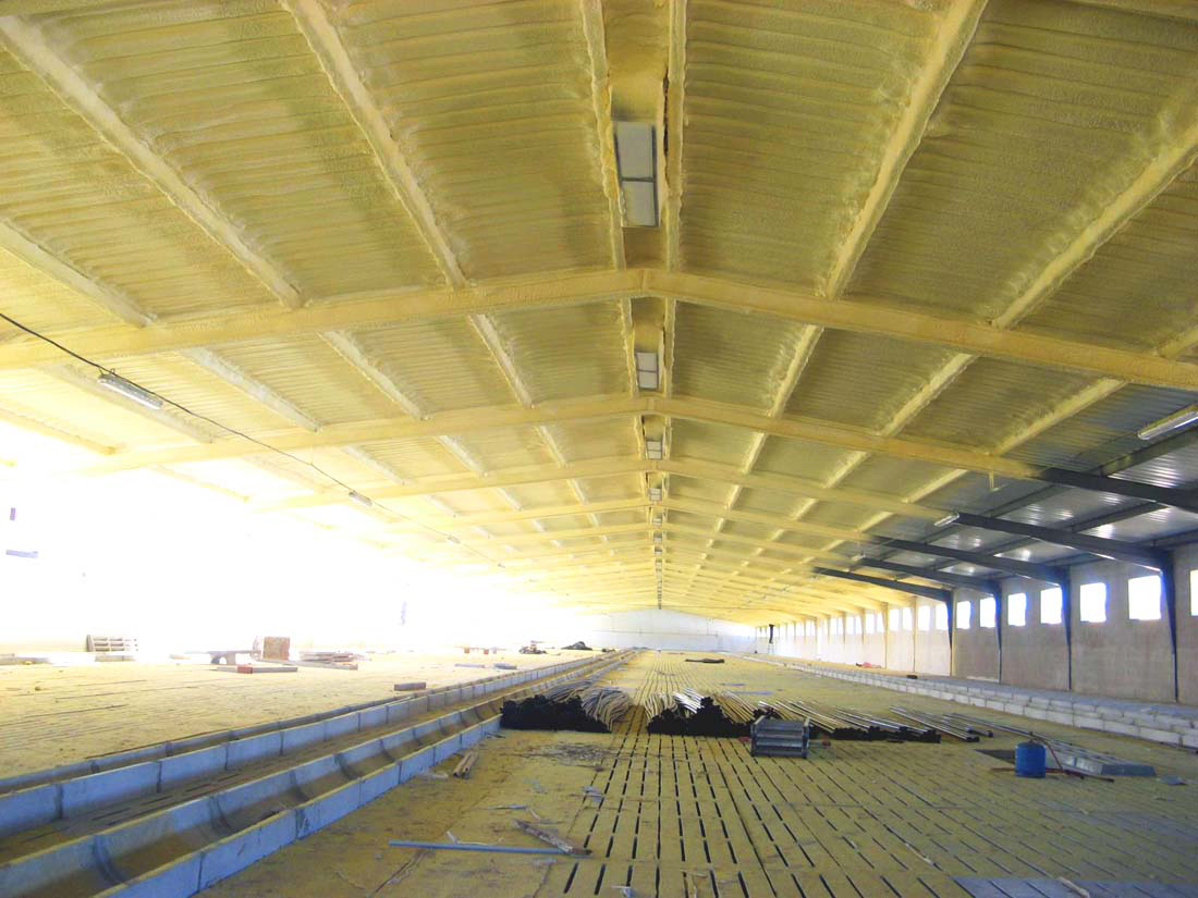 Utilización de slats de hormigón para la evacuación de los excrementos.
